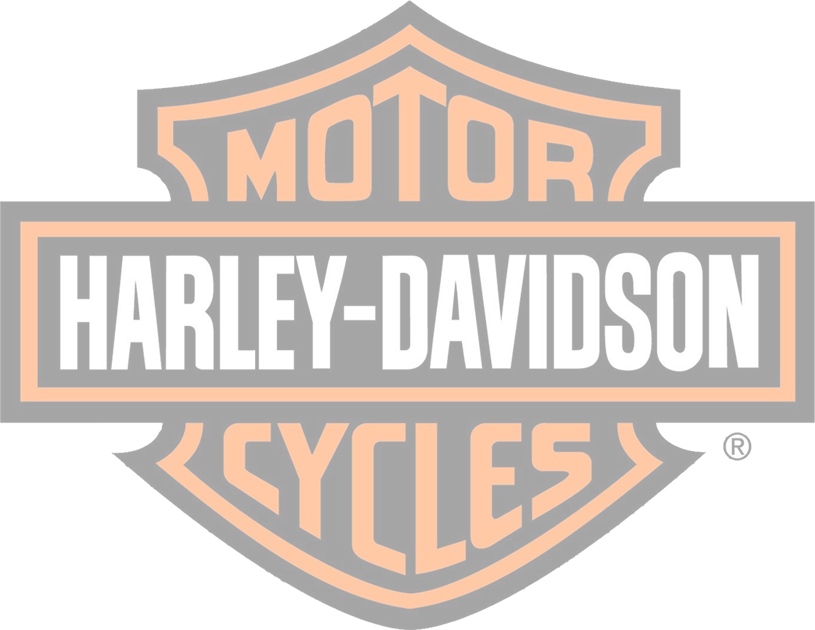  HARLEY-DAVIDSON MOTOR CYCLE